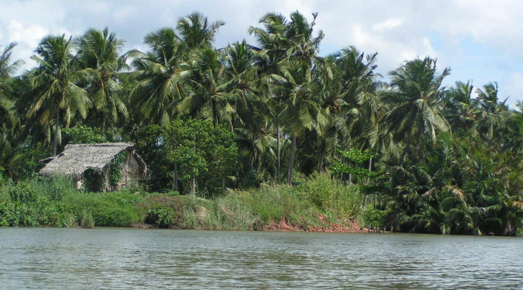 palm grove Sri Lanka